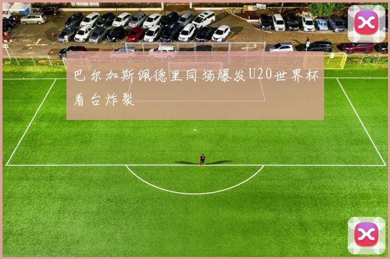 巴尔加斯佩德里同场爆发U20世界杯看台炸裂